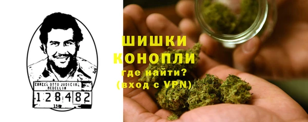 spice Няндома