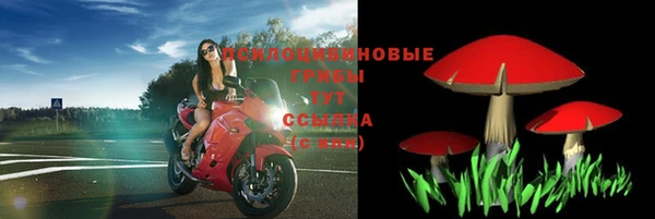 spice Новодвинск