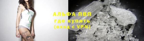 a pvp Новозыбков