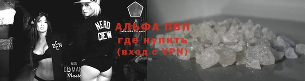spice Новодвинск