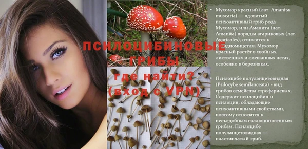 spice Няндома