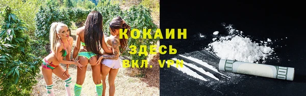 a pvp Новозыбков