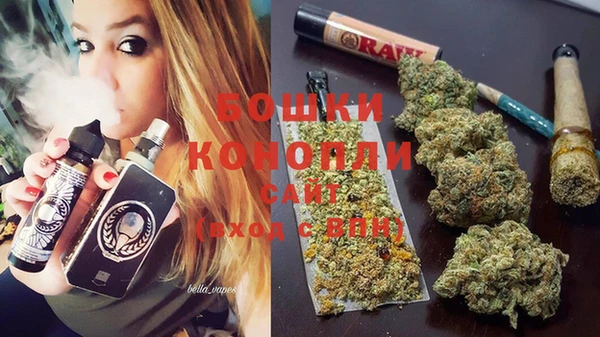 spice Няндома