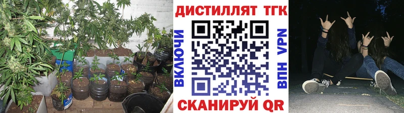 MEGA рабочий сайт  купить   Арсеньев  ТГК THC oil 