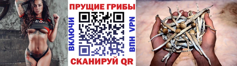 Псилоцибиновые грибы MAGIC MUSHROOMS  Арсеньев 
