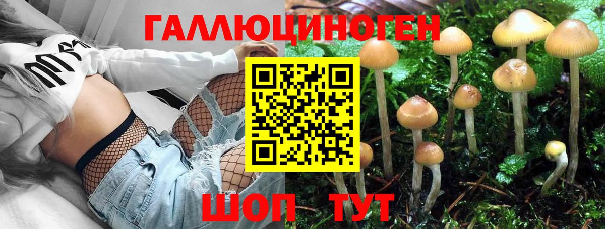 Alpha-PVP СК кристаллы  ГАШ  Канабис  Арсеньев  LSD-25  КОКАИН  Мефедрон кристаллы  Вход с VPN 