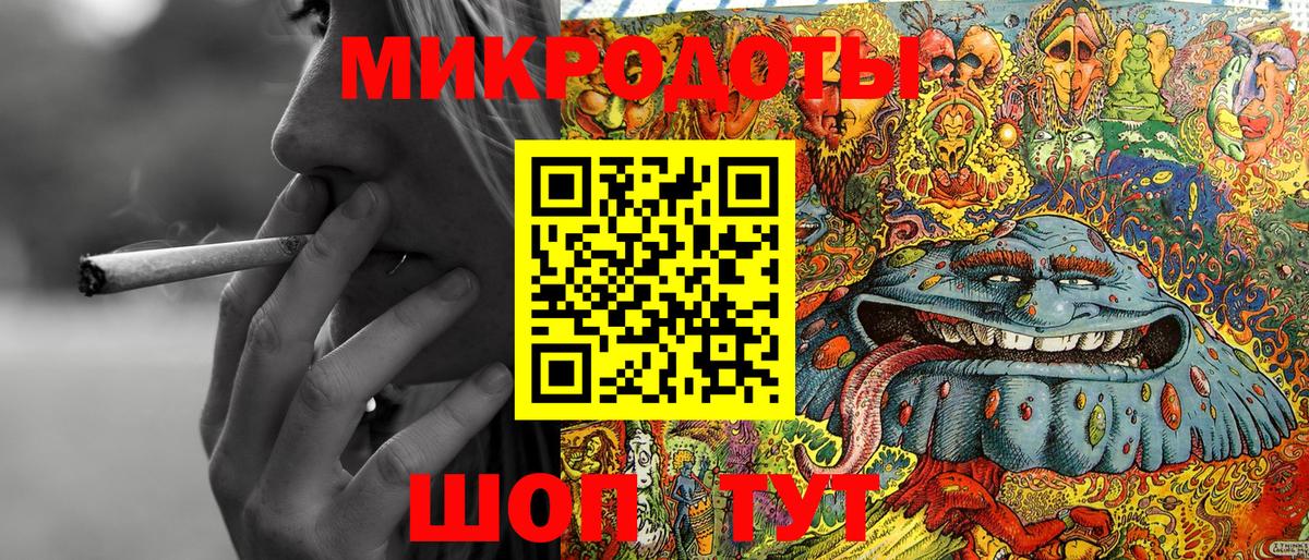 Псилоцибиновые грибы Psilocybe  Арсеньев 