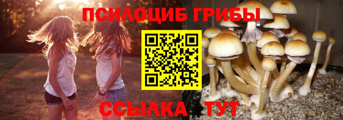 Галлюциногенные грибы Magic Shrooms Арсеньев